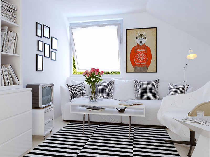 Obraz Husky Hipster na materiale Canvas bez ramy 100x150 247 zł Big