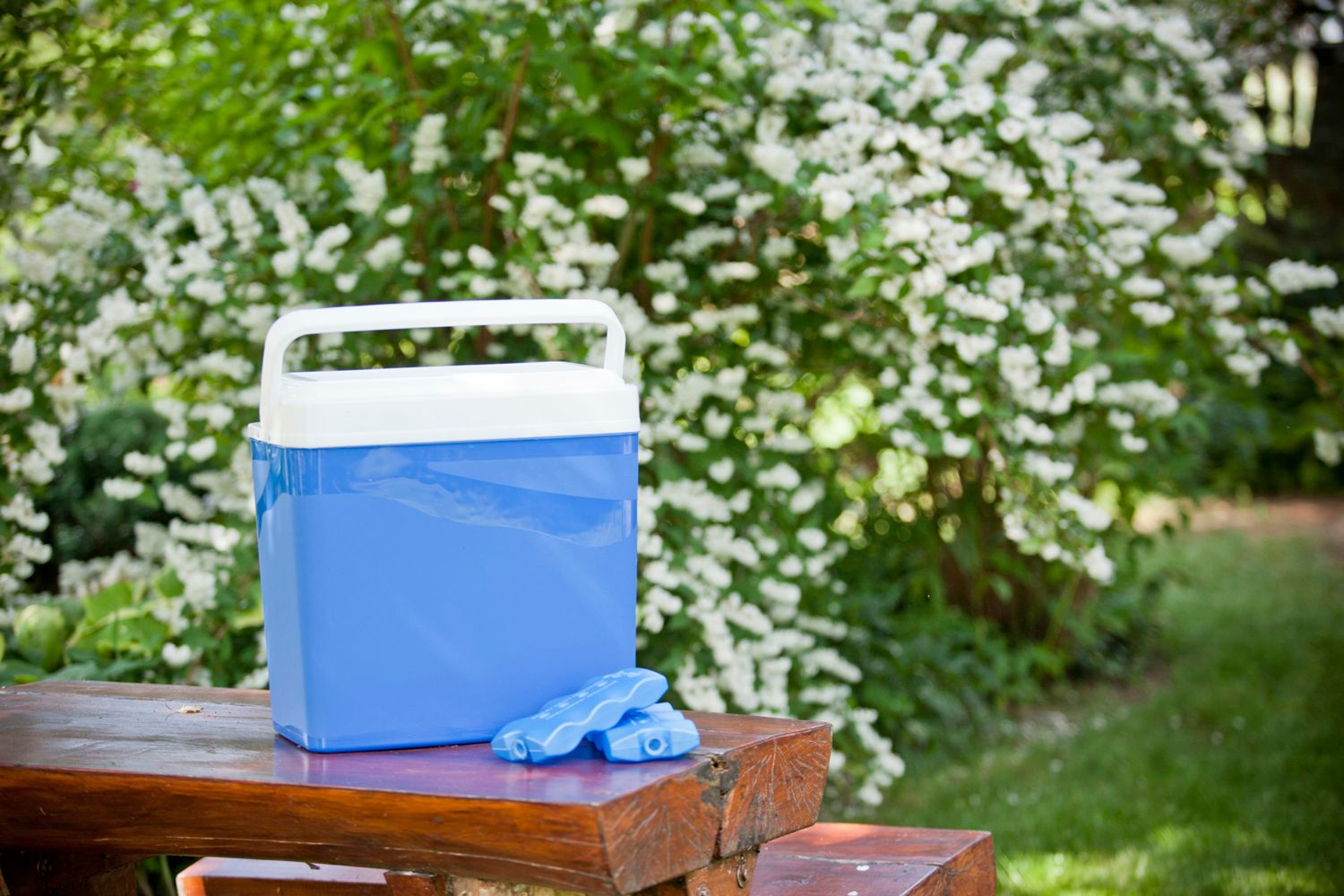 przenosna lodowka Przenośna lodówka